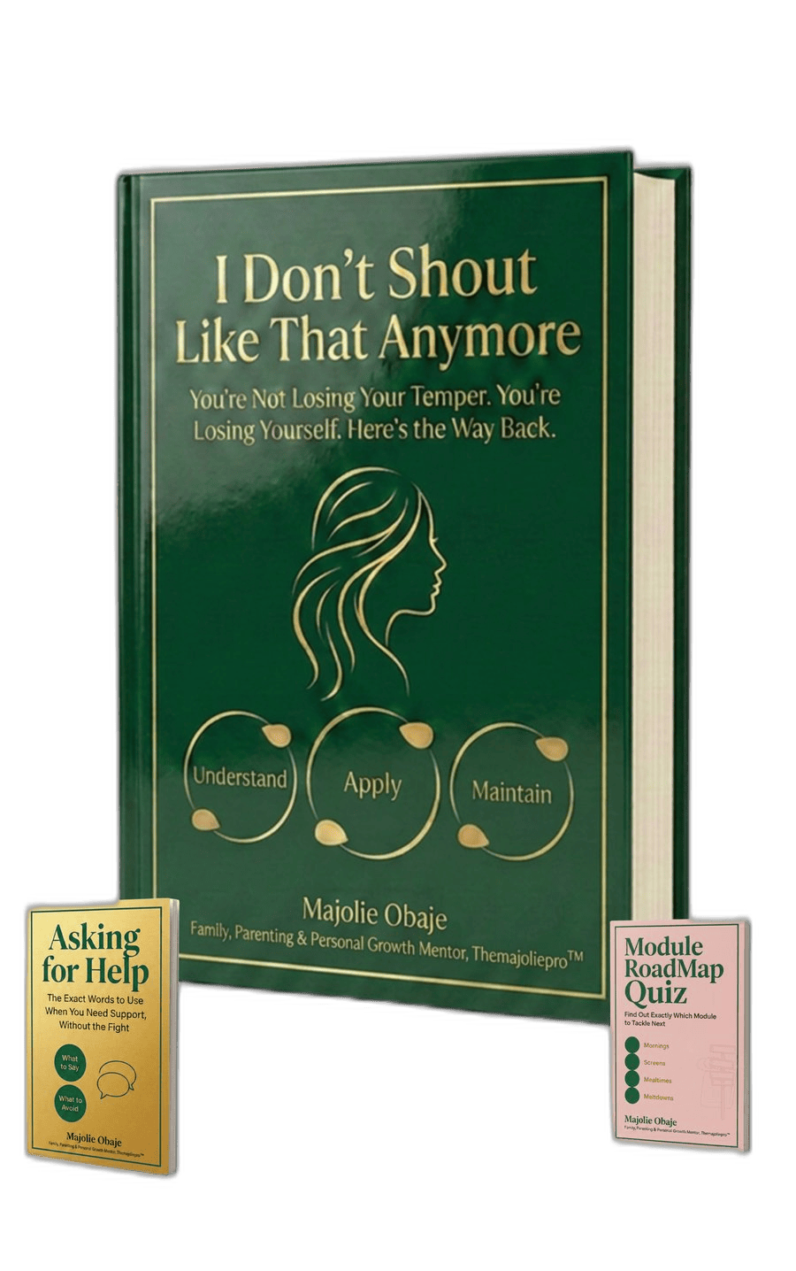 I Don't Shout Like That Anymore, the full guide plus two bonus tools: Asking for Help Conversation Scripts and Module Roadmap Quiz