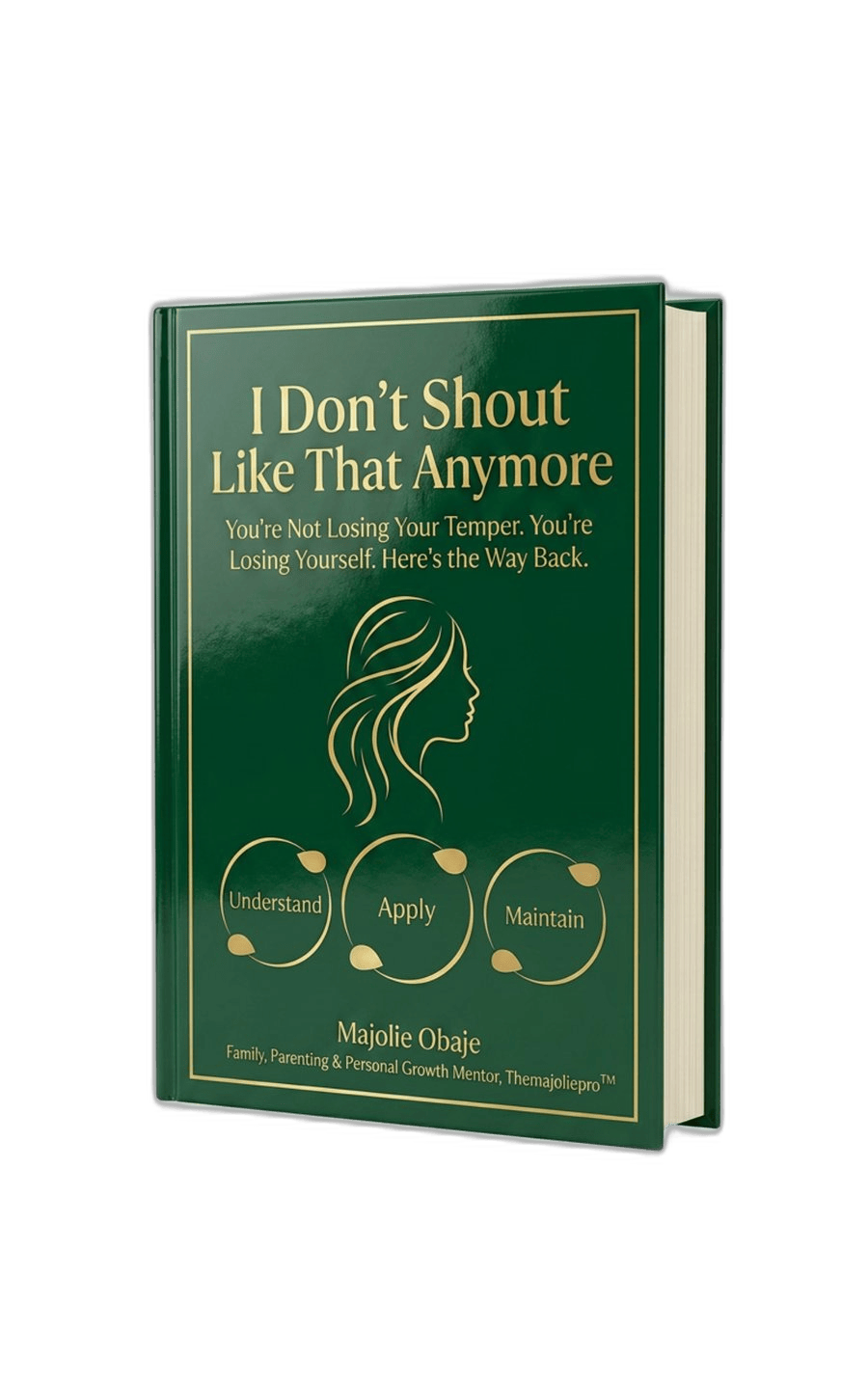 I Don't Shout Like That Anymore book cover